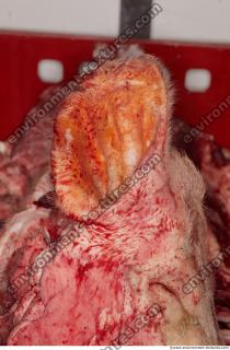 Photo Textures of RAW Pork Meat